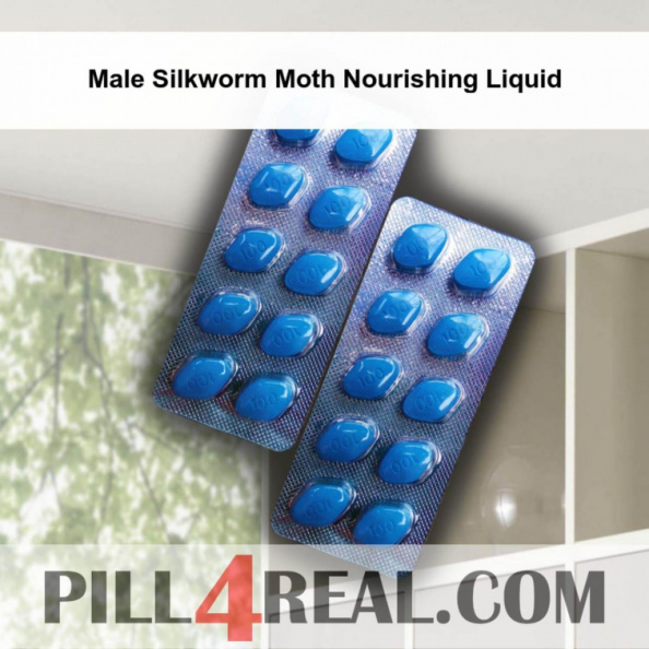 Male Silkworm Moth Nourishing Liquid 016