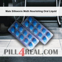 Male Silkworm Moth Nourishing Oral Liquid 000
