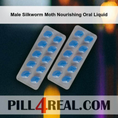 Male Silkworm Moth Nourishing Oral Liquid 151