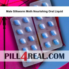 Male Silkworm Moth Nourishing Oral Liquid 619
