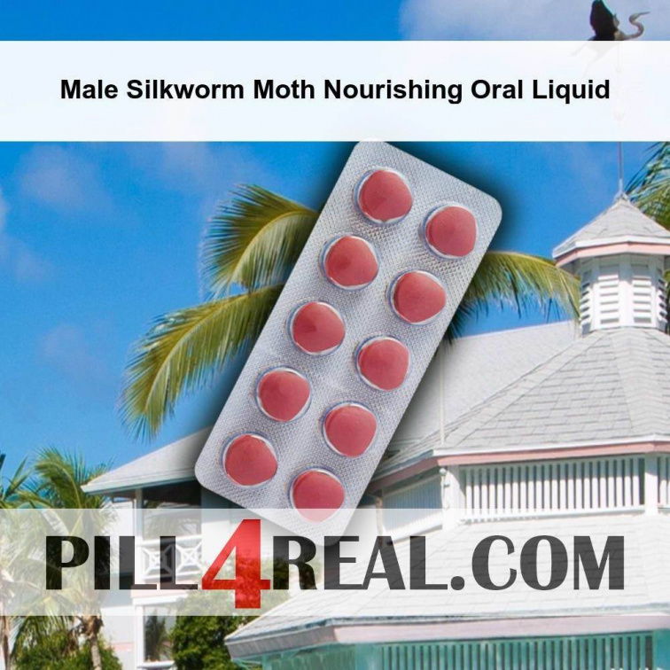 Male Silkworm Moth Nourishing Oral Liquid 822