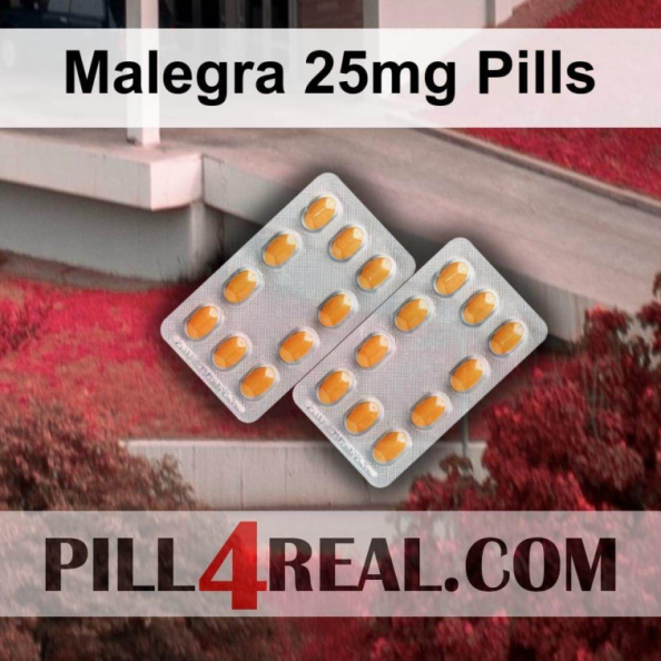 Malegra_25mg_Pills_073.jpg