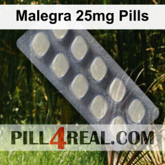 Malegra 25mg Pills 864