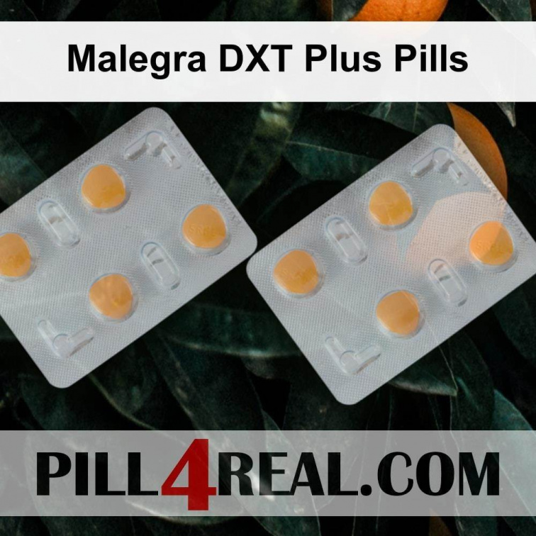 Malegra DXT Plus Pills 664