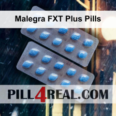 Malegra FXT Plus Pills 297