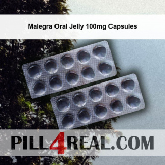 Malegra Oral Jelly 100mg Capsules 288