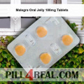 Malegra Oral Jelly 100mg Tablets 360
