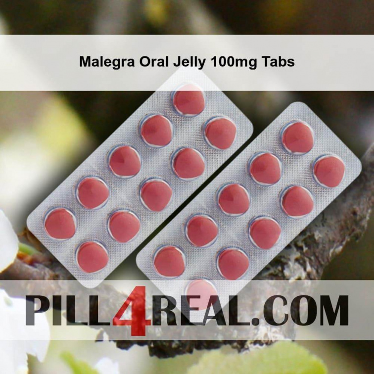 Malegra Oral Jelly 100mg Tabs 235