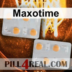 Maxotime 241