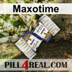 Maxotime 388