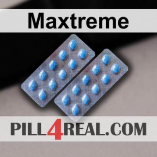Maxtreme 336