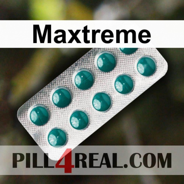 Maxtreme 678