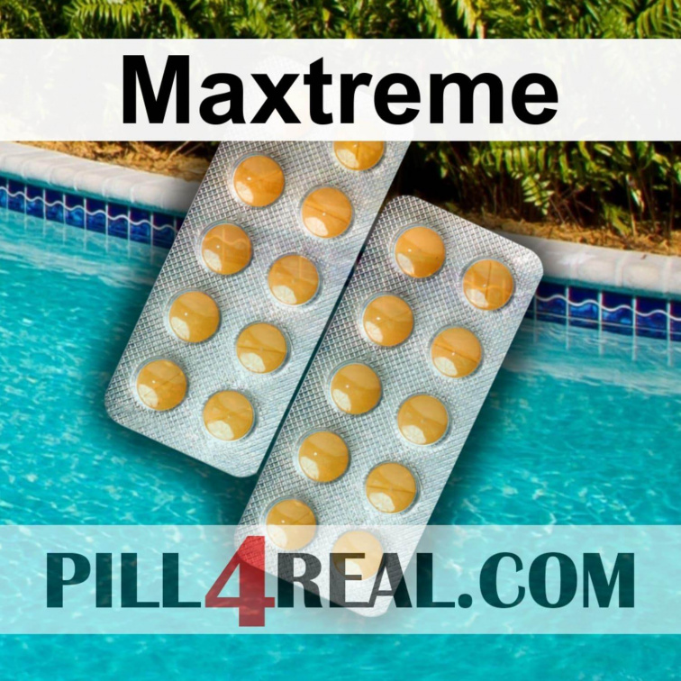 Maxtreme 991
