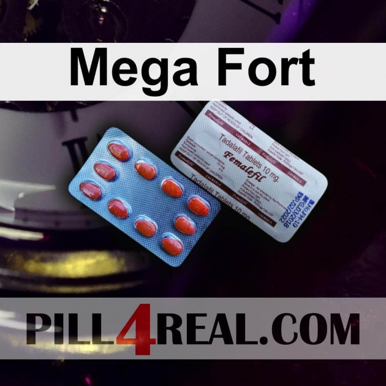 Mega Fort 051