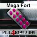 Mega Fort 057