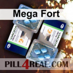 Mega Fort 161