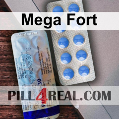 Mega Fort 193