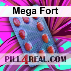 Mega Fort 199