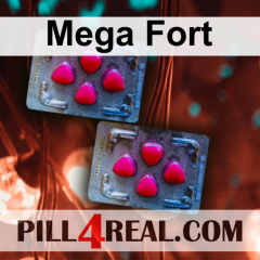 Mega Fort 212