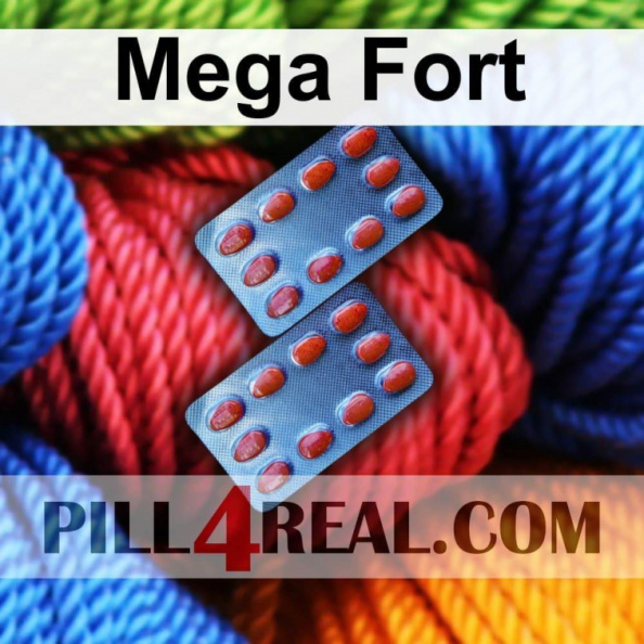Mega Fort 244