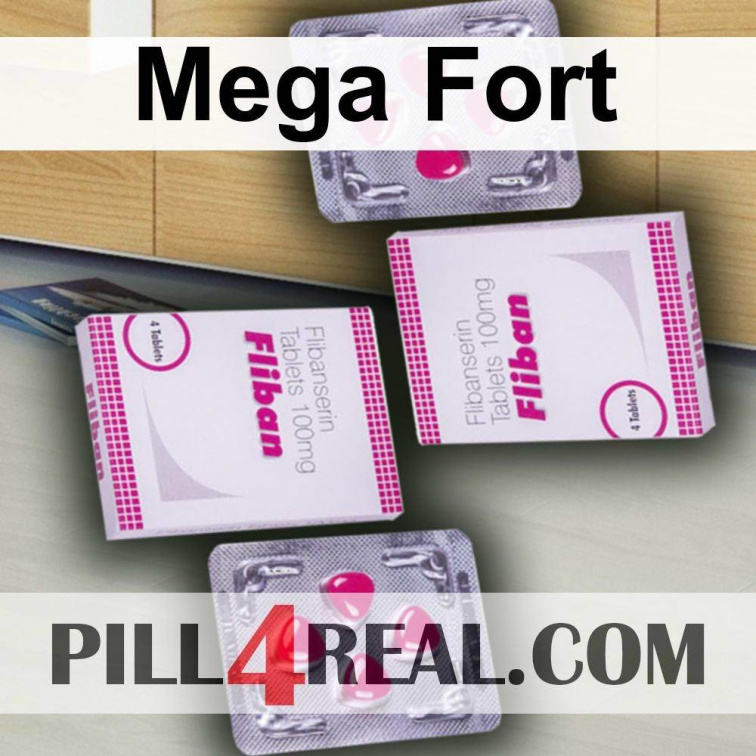 Mega Fort 260