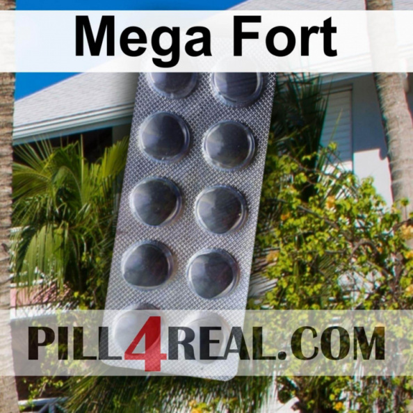Mega Fort 262