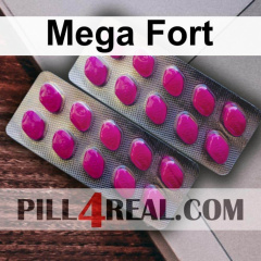 Mega Fort 290