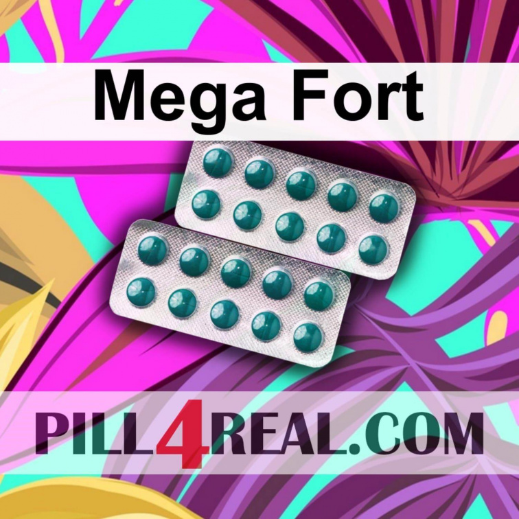 Mega Fort 377