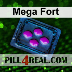 Mega Fort 385