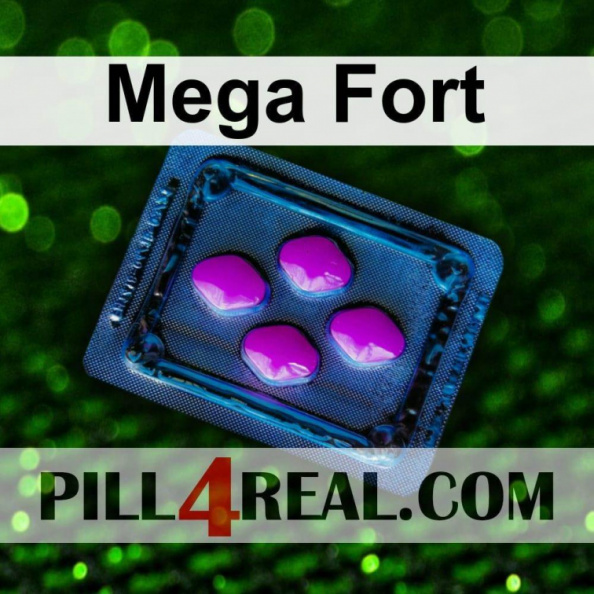 Mega Fort 385