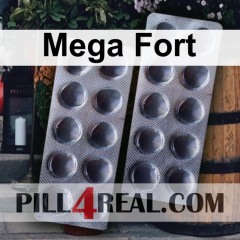 Mega Fort 422