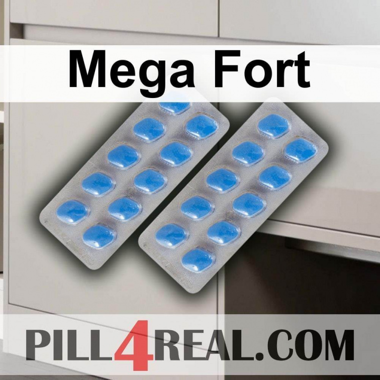 Mega Fort 464