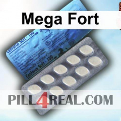 Mega Fort 480
