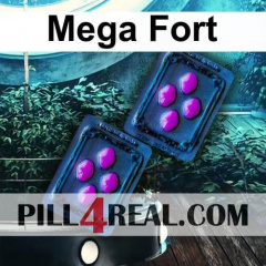 Mega Fort 491