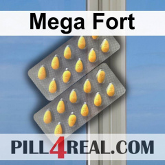 Mega Fort 549