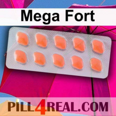 Mega Fort 637