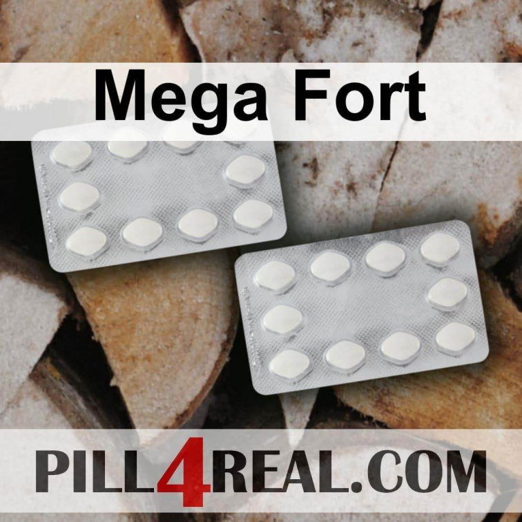 Mega Fort 641