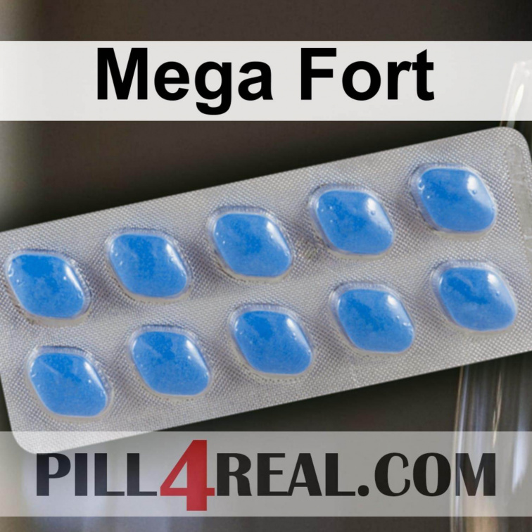 Mega Fort 654