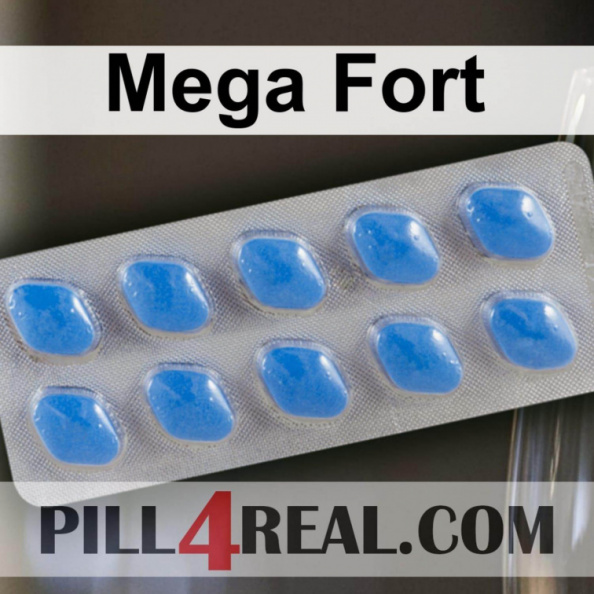 Mega Fort 654