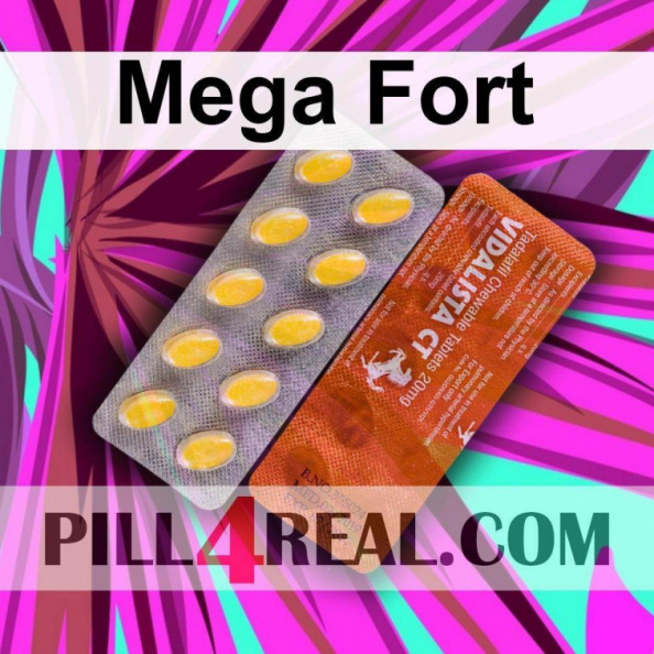 Mega Fort 662