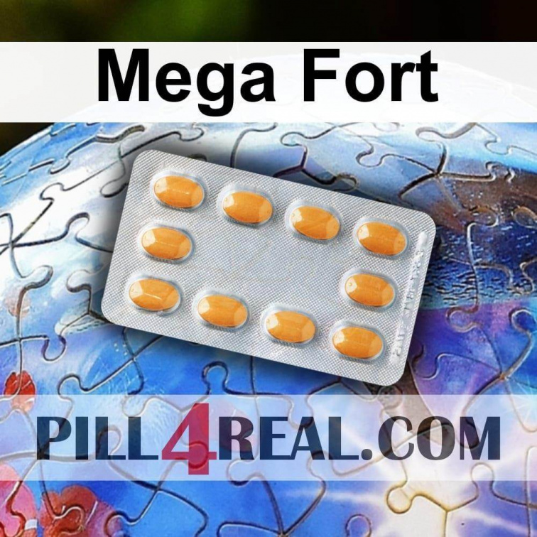 Mega Fort 679