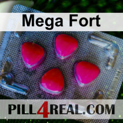Mega Fort 700