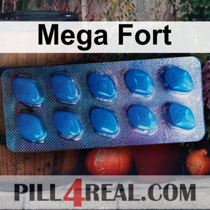 Mega Fort 704