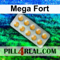 Mega Fort 719