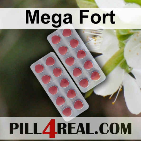 Mega Fort 735