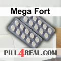 Mega Fort 791