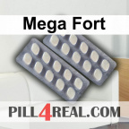 Mega Fort 791