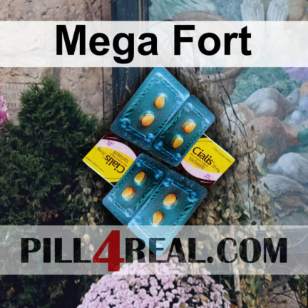 Mega Fort 799