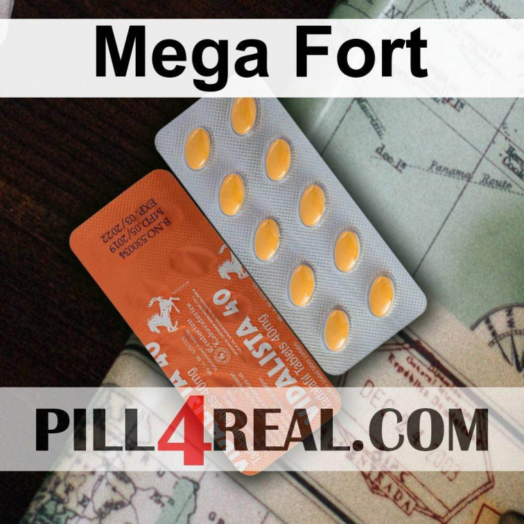 Mega Fort 802