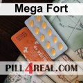 Mega Fort 802